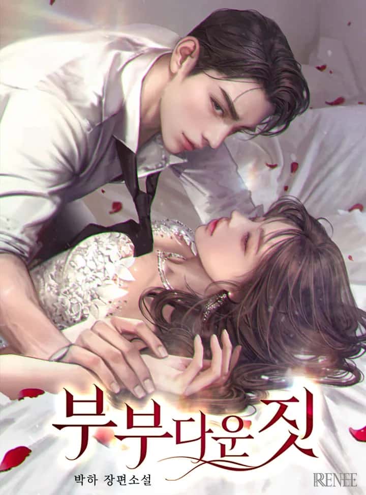 부부다운 짓